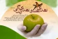 اهدا عضو اهدا زندگی