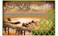 شهادت امام صادق (ع) تسلیت باد.
