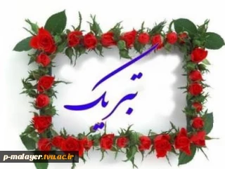 آموزشکده فنی و حرفه ای ملایر حائز امتیاز 100 از 100 شورای ارزیابی شهرستان شد