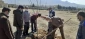 کاشت نهال درخت به مناسبت روز درختکاری با حضور همکاران دانشکده خوارزمی ملایر