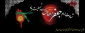 ویژه نامه شهادت امام جعفر صادق علیه السلام